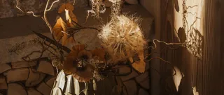 Alex Moling Hotel Recort 139